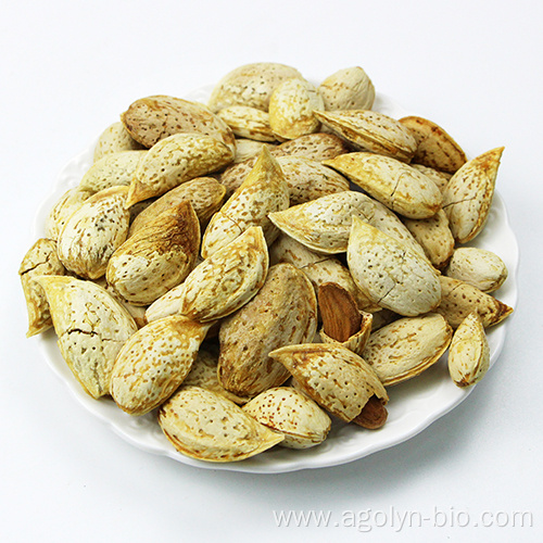 Wholesale Top Grade Raw Almond Nuts